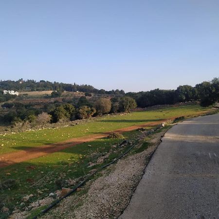 Mitzpe Hila Benichuta 아파트 외부 사진