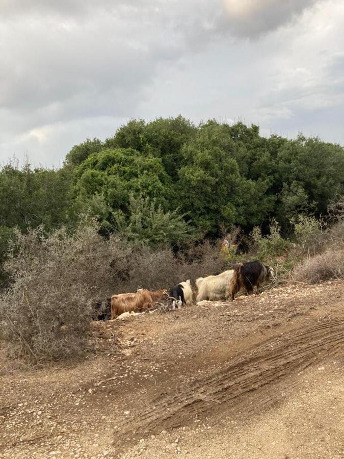 Mitzpe Hila Benichuta 아파트 외부 사진