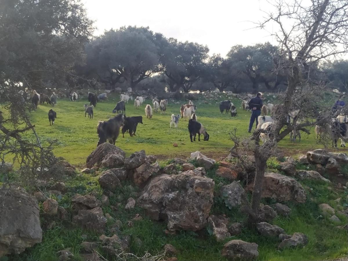 Mitzpe Hila Benichuta 아파트 외부 사진